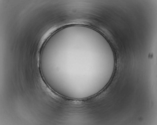 X0000111821180200907231016