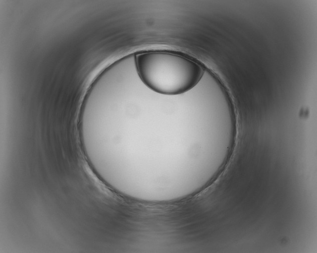 X0000111821181200907231016