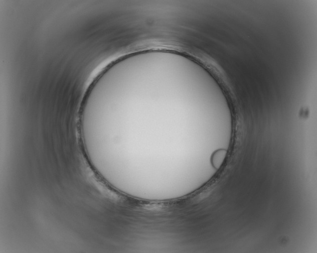 X0000111821182200907231016