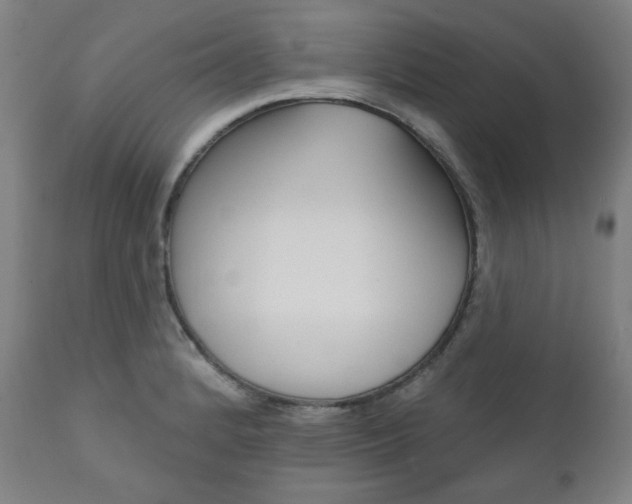 X0000111821184200907231016