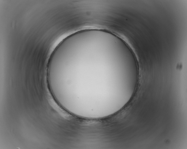 X0000111821187200907231016