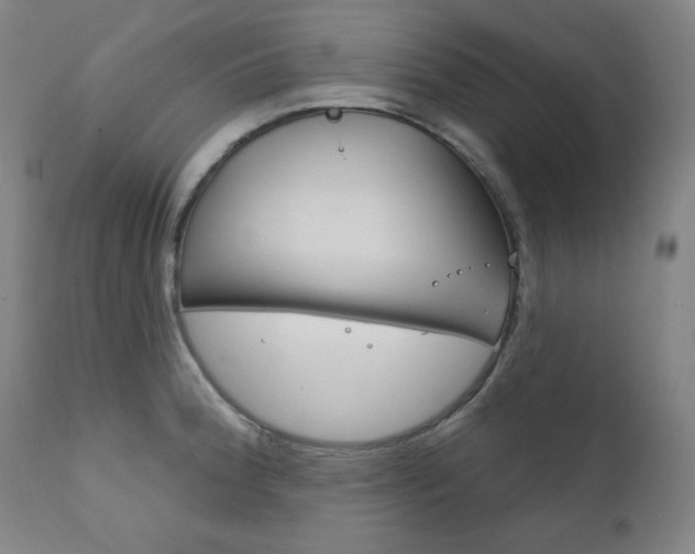X0000111821188200907231016