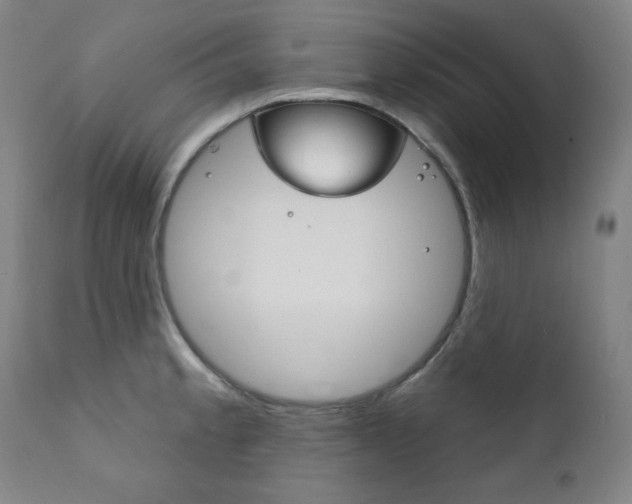 X0000111821189200907231016