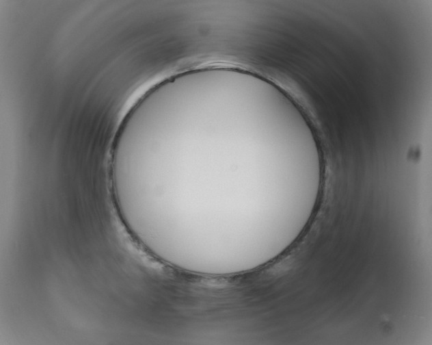 X0000111821190200907231016