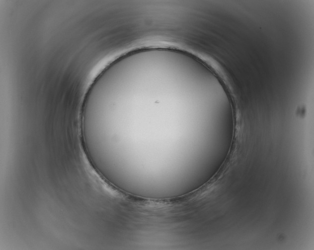 X0000111821191200907231016
