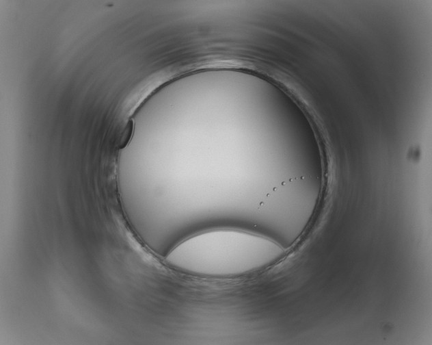 X0000111821193200907231016
