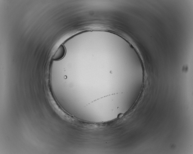 X0000111821195200907231016