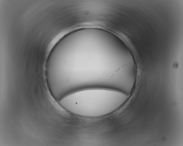 X0000111821196200907231016