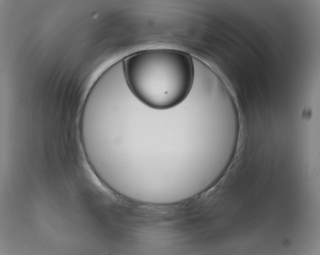 X0000111821197200907231016