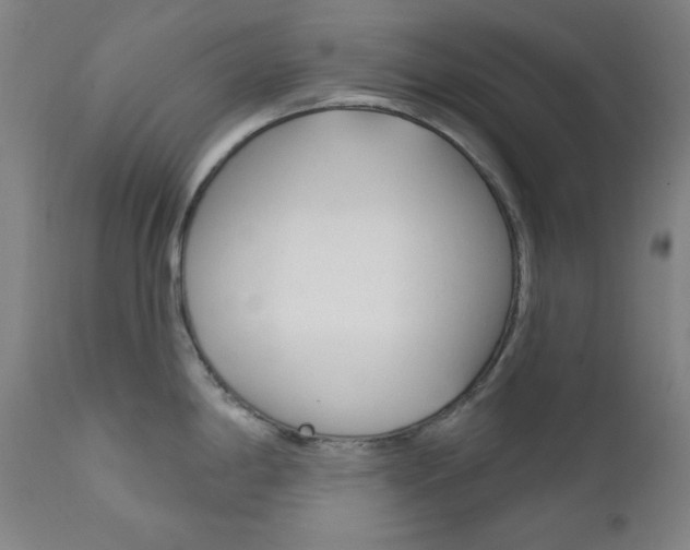 X0000111821198200907231016