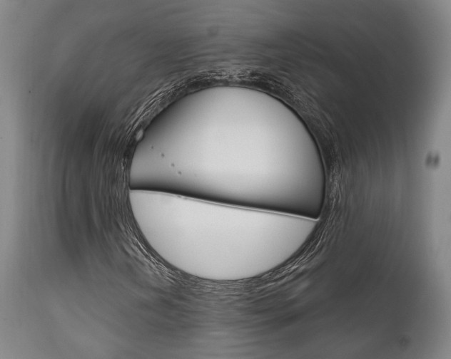X0000111821202200907231015