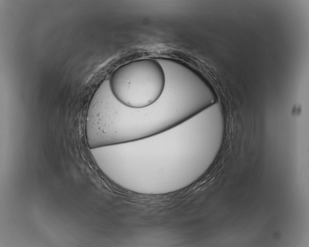 X0000111821205200907231016