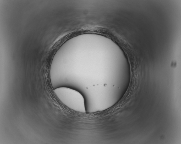 X0000111821206200907231016
