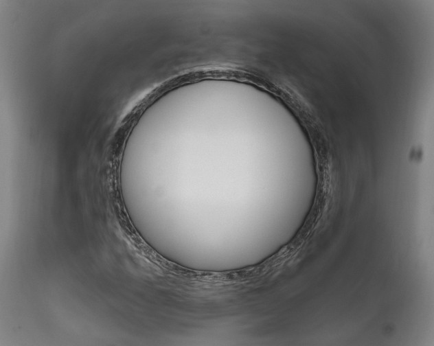 X0000111821208200907231016