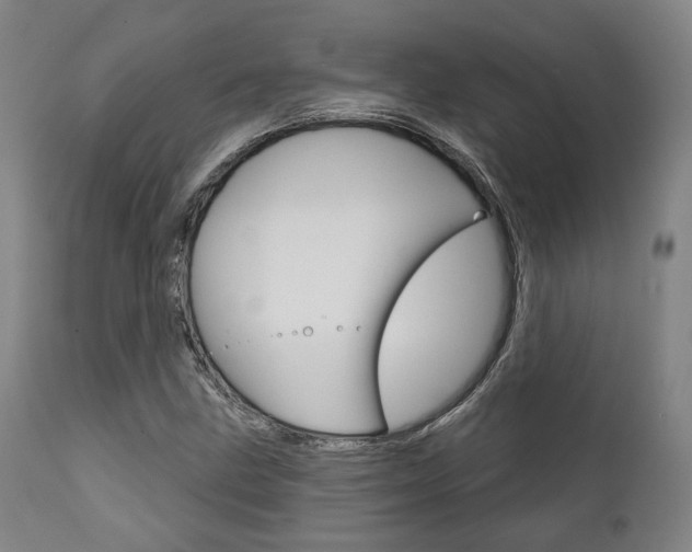 X0000111821211200907231016