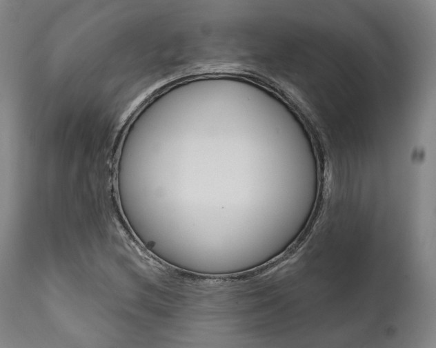 X0000111821212200907231016