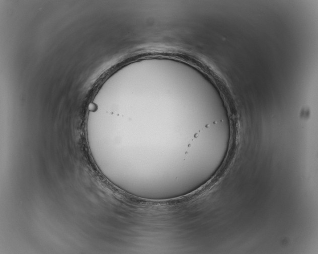 X0000111821213200907231016