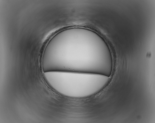 X0000111821214200907231016
