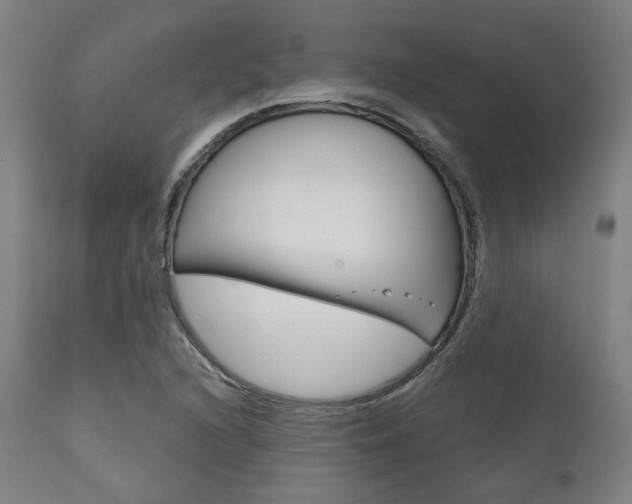 X0000111821216200907231016