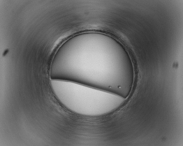 X0000111821218200907231016