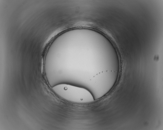 X0000111821219200907231016