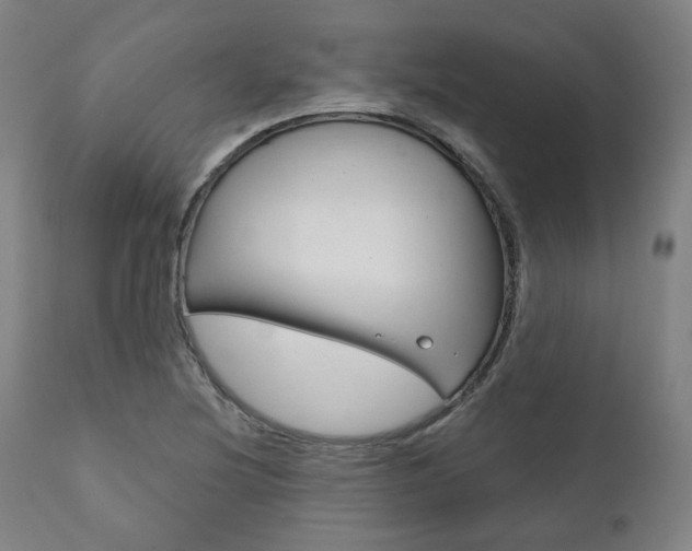 X0000111821220200907231016