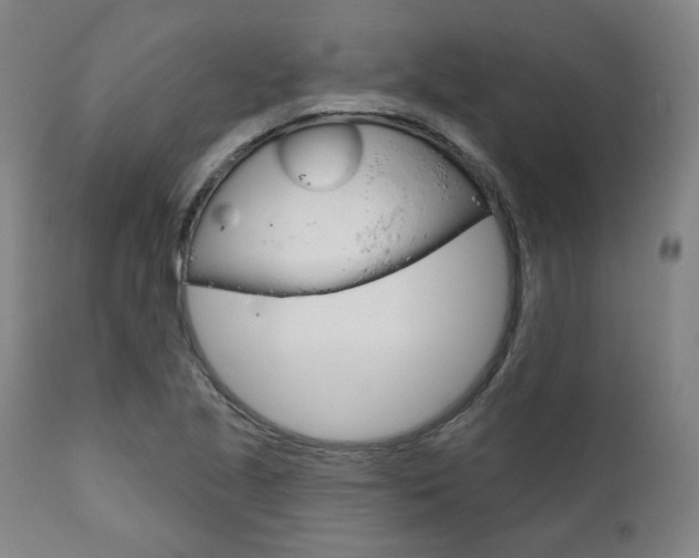 X0000111821221200907231016