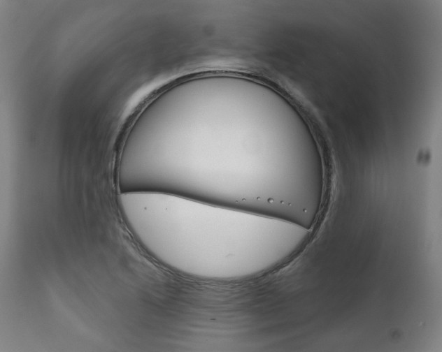 X0000111821222200907231016