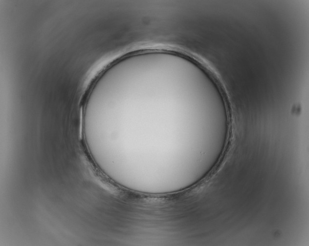 X0000111821223200907231016