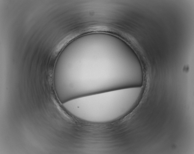 X0000111821225200907231016