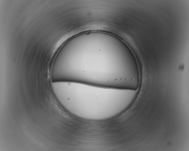 X0000111821226200907231016