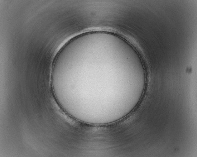 X0000111821228200907231016