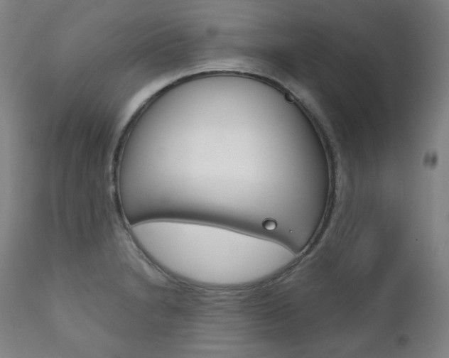 X0000111821230200907231016