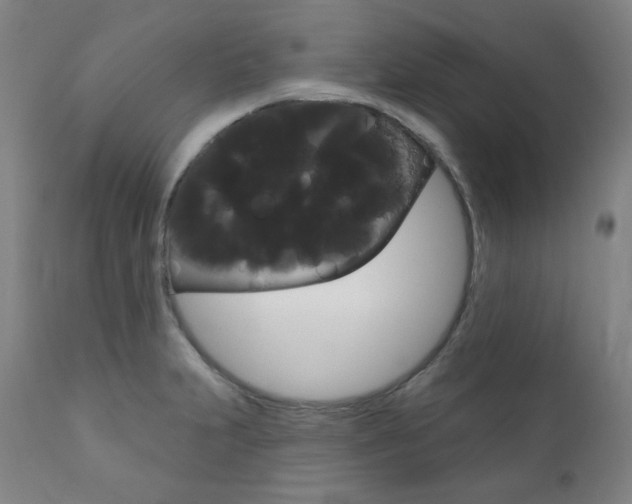 X0000111821231200907231016