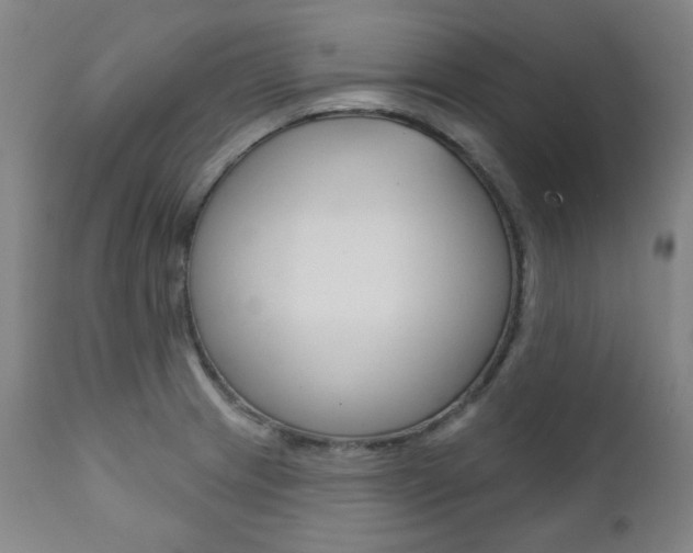 X0000111821233200907231016
