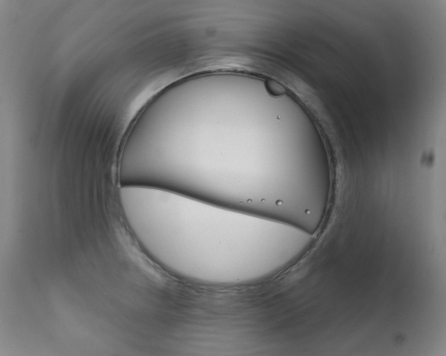 X0000111821234200907231016
