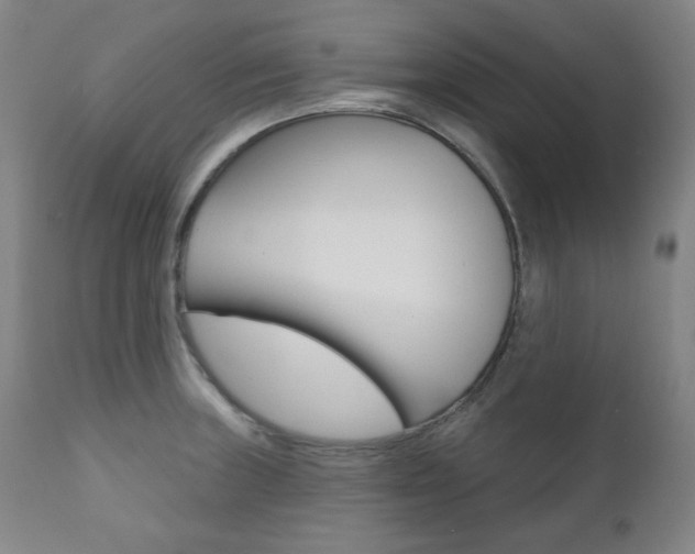 X0000111821235200907231016