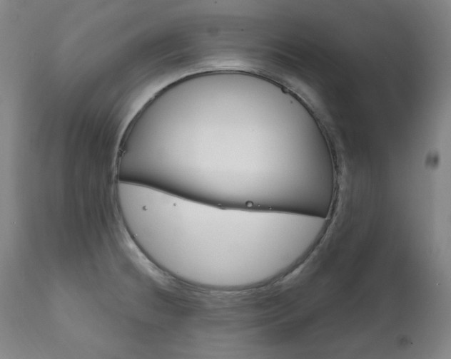 X0000111821236200907231016