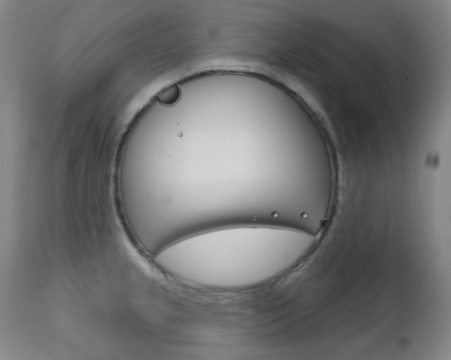 X0000111821237200907231016