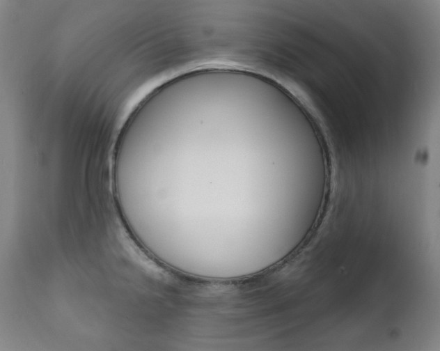 X0000111821238200907231016