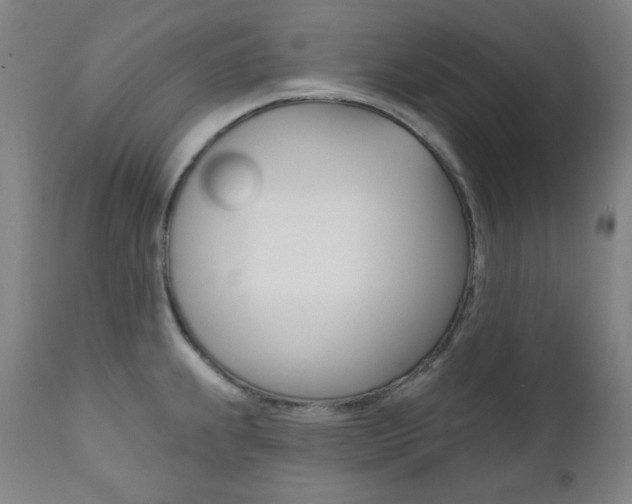 X0000111821239200907231016