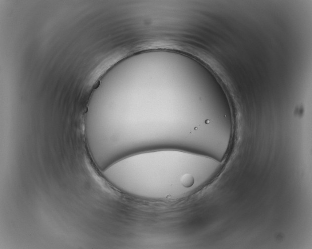 X0000111821241200907231016