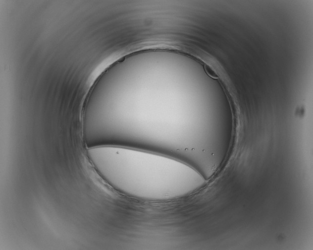 X0000111821242200907231016