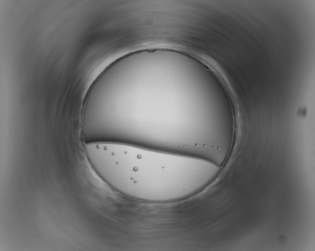 X0000111821244200907231016