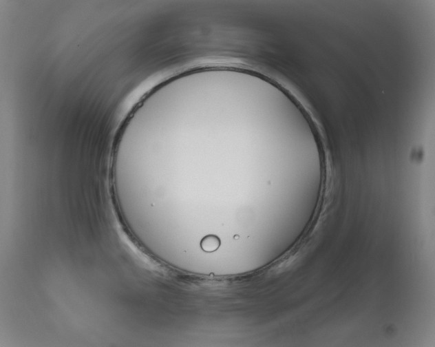X0000111821245200907231016