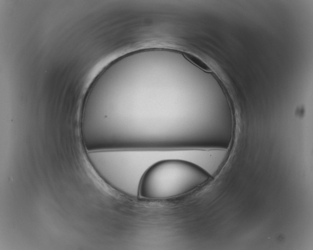 X0000111821246200907231016