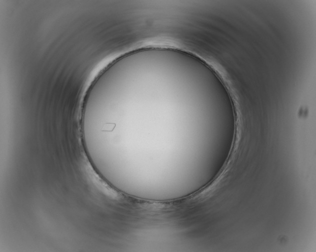 X0000111821248200907231016