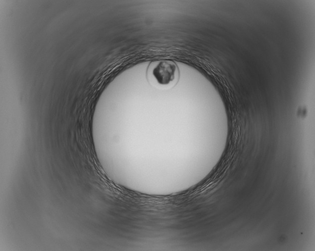 X0000111821249200907231015