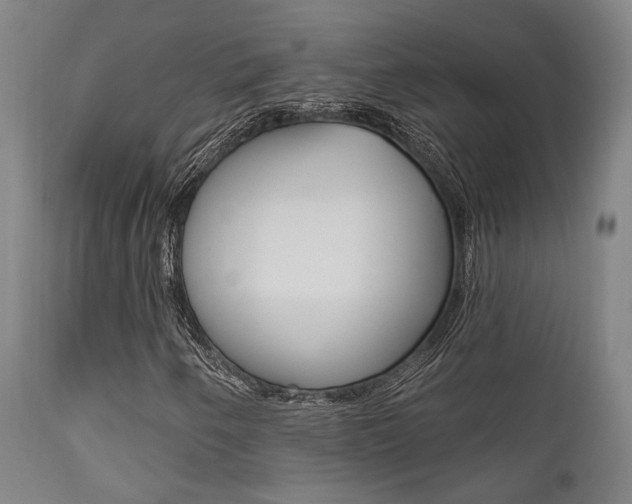 X0000111821250200907231015