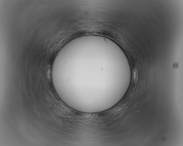 X0000111821251200907231015